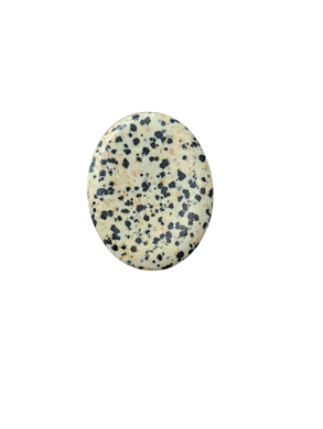 Dalmation Jasper Oval Worry Stone